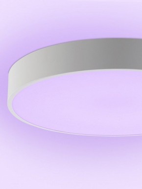 Накладной светильник Natali Kovaltseva MODERN LED LAMPS 81105/1C в Озерске - ozersk.ok-mebel.com | фото 9