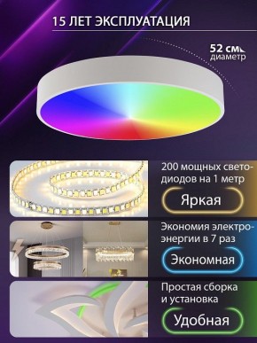 Накладной светильник Natali Kovaltseva MODERN LED LAMPS 81105/2C в Озерске - ozersk.ok-mebel.com | фото 6