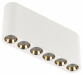 Накладной светильник Odeon Light Small 7091/15CL в Озерске - ozersk.ok-mebel.com | фото