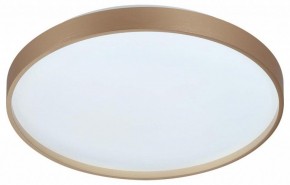 Накладной светильник Sonex Gaby 7783/DL в Озерске - ozersk.ok-mebel.com | фото 4