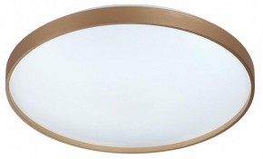 Накладной светильник Sonex Gaby 7783/EL в Озерске - ozersk.ok-mebel.com | фото 4