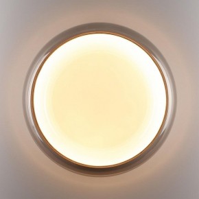 Накладной светильник Sonex PORTMAN 7777/DLN в Озерске - ozersk.ok-mebel.com | фото 6