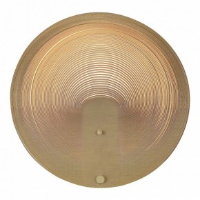 Накладной светильник ST-Luce Fossil SL6900.501.16 в Озерске - ozersk.ok-mebel.com | фото 2