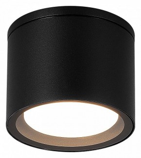 Накладной светильник ST-Luce Tubo SL9006.402.01 в Озерске - ozersk.ok-mebel.com | фото 2