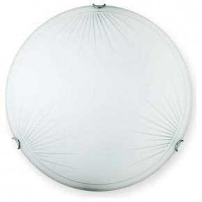 Накладной светильник TopLight Wifa TL9142Y-00WH в Озерске - ozersk.ok-mebel.com | фото