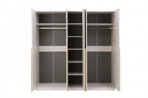 НИКОЛЬ 25 Шкаф 5-ти створчатый в Озерске - ozersk.ok-mebel.com | фото 3
