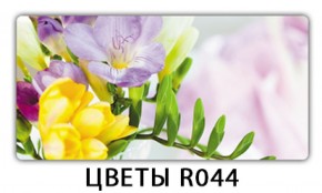 Обеденный раздвижной стол Бриз с фотопечатью Цветы R044 в Озерске - ozersk.ok-mebel.com | фото 11