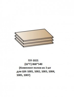 ПЛ-1021 (Комплект полок из 3 шт для ШК-1001, 1002, 1003, 1004, 1005, 1007) в Озерске - ozersk.ok-mebel.com | фото