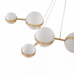 Подвесная люстра Favourite Asterismo 4448-8P в Озерске - ozersk.ok-mebel.com | фото 7