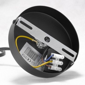 Подвесная люстра Lussole Kenner GRLSP-8271 в Озерске - ozersk.ok-mebel.com | фото 7