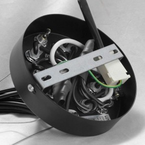 Подвесная люстра Lussole Seneca GRLSP-8177 в Озерске - ozersk.ok-mebel.com | фото 10