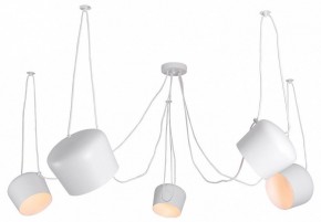 Подвесная люстра Lussole Shirley LSP-8175 в Озерске - ozersk.ok-mebel.com | фото