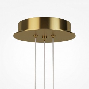 Подвесная люстра Maytoni Arana MOD401PL-L108BS3K в Озерске - ozersk.ok-mebel.com | фото 7
