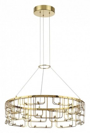 Подвесная люстра Odeon Light ZAHA 7060/44L в Озерске - ozersk.ok-mebel.com | фото 2