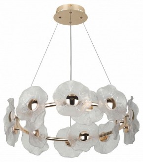 Подвесная люстра Rivoli Shannon Б0061947 в Озерске - ozersk.ok-mebel.com | фото 4