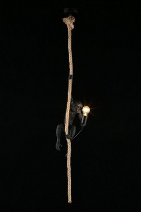 Подвесной светильник Aployt Magali APL.309.16.01 в Озерске - ozersk.ok-mebel.com | фото 3