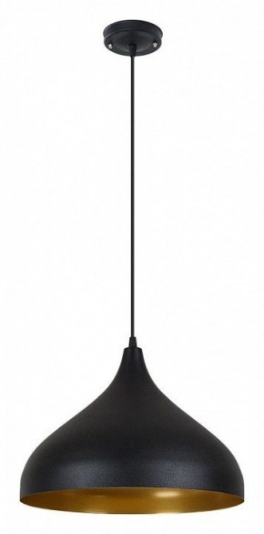 Подвесной светильник Arte Lamp Carmel A7076SP-1BK в Озерске - ozersk.ok-mebel.com | фото 2