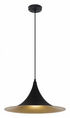 Подвесной светильник Arte Lamp Carmel A7080SP-1BK в Озерске - ozersk.ok-mebel.com | фото 2