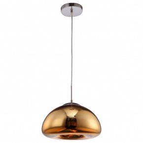 Подвесной светильник Arte Lamp Swift A8041SP-1GO в Озерске - ozersk.ok-mebel.com | фото 2