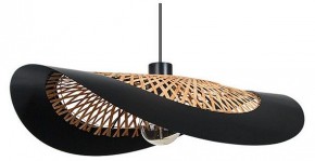 Подвесной светильник Arte Lamp Woodstock A7059SP-1BK в Озерске - ozersk.ok-mebel.com | фото
