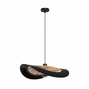 Подвесной светильник Arte Lamp Woodstock A7059SP-1BK в Озерске - ozersk.ok-mebel.com | фото 2