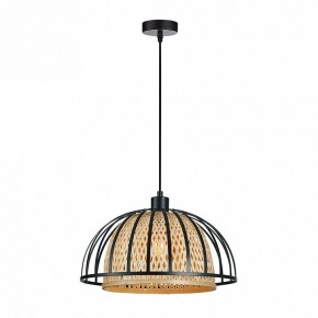 Подвесной светильник Arte Lamp Woodstock A7071SP-1BK в Озерске - ozersk.ok-mebel.com | фото