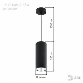 Подвесной светильник Эра  PL12 GX53 BK/SL в Озерске - ozersk.ok-mebel.com | фото 8