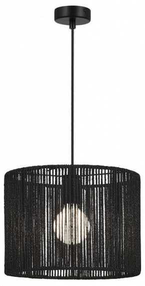 Подвесной светильник EVOLUCE ETTAN SLE6024-403-01 в Озерске - ozersk.ok-mebel.com | фото 2