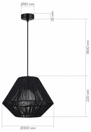 Подвесной светильник EVOLUCE ETTAN SLE6025-403-01 в Озерске - ozersk.ok-mebel.com | фото 5