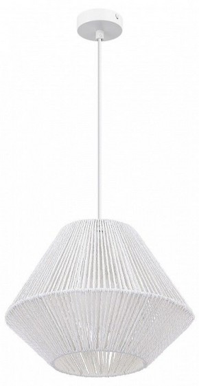 Подвесной светильник EVOLUCE ETTAN SLE6025-503-01 в Озерске - ozersk.ok-mebel.com | фото 3