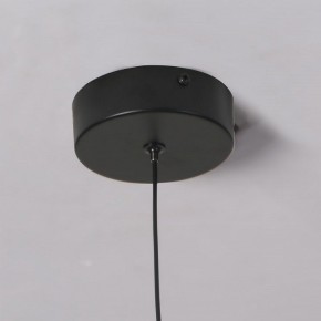 Подвесной светильник Favourite Wilet 4656-1P в Озерске - ozersk.ok-mebel.com | фото 10