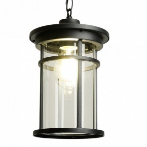 Подвесной светильник Feron PL765 51819 в Озерске - ozersk.ok-mebel.com | фото 3