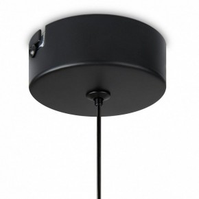 Подвесной светильник Freya Idol FR6134PL-L4SM в Озерске - ozersk.ok-mebel.com | фото 8