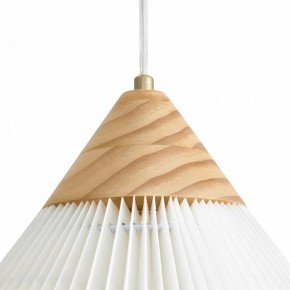 Подвесной светильник Freya Kinsley FR5533PL-01BS в Озерске - ozersk.ok-mebel.com | фото 8