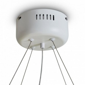 Подвесной светильник Freya Rain FR5546PL-L60W в Озерске - ozersk.ok-mebel.com | фото 9