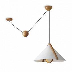 Подвесной светильник Freya Umbra FR5554CL-01T в Озерске - ozersk.ok-mebel.com | фото 2