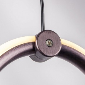 Подвесной светильник Lightstar Caramello 796139 в Озерске - ozersk.ok-mebel.com | фото 5