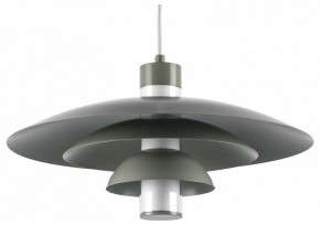 Подвесной светильник Lightstar Erbareo 799019 в Озерске - ozersk.ok-mebel.com | фото