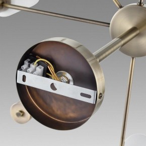 Подвесной светильник Lumion Mave 8100/12C в Озерске - ozersk.ok-mebel.com | фото 6