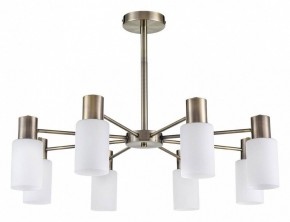 Подвесной светильник Lumion Mave 8100/8C в Озерске - ozersk.ok-mebel.com | фото