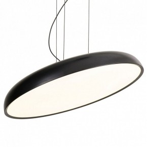 Подвесной светильник Lussole Crook LSP-7360 в Озерске - ozersk.ok-mebel.com | фото