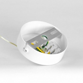 Подвесной светильник Lussole Gregg LSP-8964 в Озерске - ozersk.ok-mebel.com | фото 7