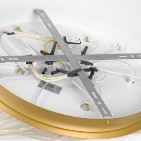 Подвесной светильник Lussole Hopkins LSP-7404 в Озерске - ozersk.ok-mebel.com | фото 4