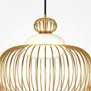 Подвесной светильник Maytoni Levitation MOD376PL-01G в Озерске - ozersk.ok-mebel.com | фото 6