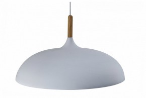 Подвесной светильник Moderli Hygo V11447-1P в Озерске - ozersk.ok-mebel.com | фото