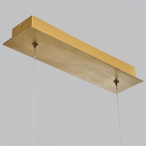 Подвесной светильник Odeon Light Beveren 7007/38L в Озерске - ozersk.ok-mebel.com | фото 4