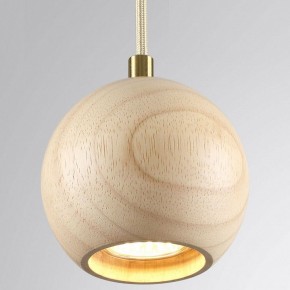 Подвесной светильник Odeon Light Caucho 7061/1 в Озерске - ozersk.ok-mebel.com | фото 2