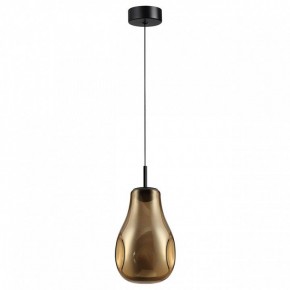 Подвесной светильник Odeon Light Nave 5098/4LA в Озерске - ozersk.ok-mebel.com | фото 4