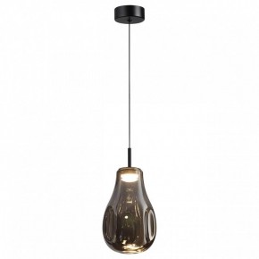 Подвесной светильник Odeon Light Nave 5098/4LC в Озерске - ozersk.ok-mebel.com | фото 2