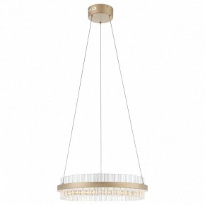 Подвесной светильник ST-Luce Cherio SL383.203.01 в Озерске - ozersk.ok-mebel.com | фото 3